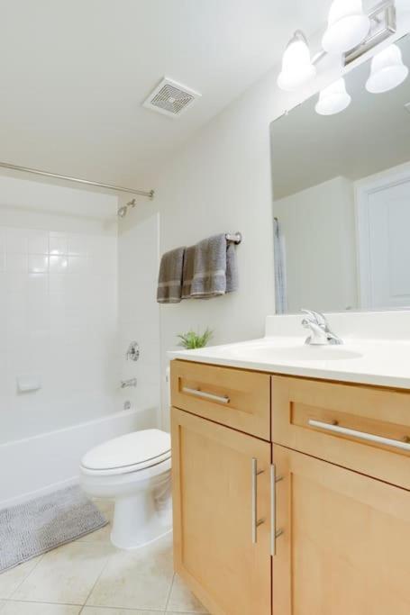 Condo With Gym And Pool In Pentagon City 8Min To Dca أرلنغتون المظهر الخارجي الصورة